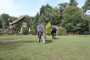 B&B / Chambres d'hotes Domaine du Vertbois : photos des chambres