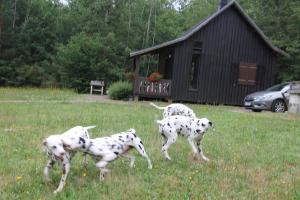 Chalets Village de gites Lapeyre : Chalet 2 Chambres