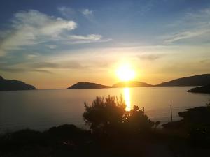 Sylvia's houses Kalymnos Greece