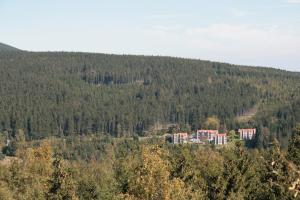 Brockenblick Ferienpark