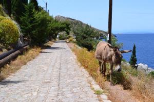 Vlichos Studio Apartment Hydra Greece