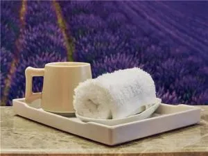 麗枫酒店·济南高新万达会展中心店 - 济阳