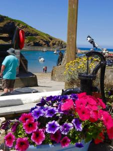 Harbour Front, Church Hill, Port Isaac PL29 3RH, Cornwall, England.