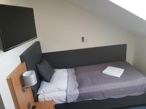 Single Room with Shower room in Hotel Rustikal