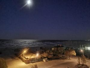 Crazy Beach Apartment