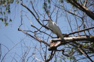 Casa de Vacanta Sarinasuf