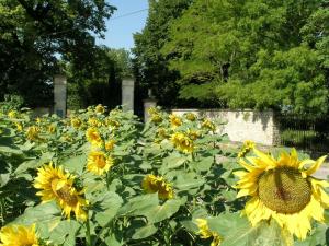 B&B / Chambres d'hotes Chateau du Bourbet : photos des chambres