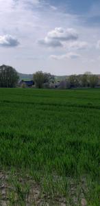 Ferienwohnung Leopold-Risch