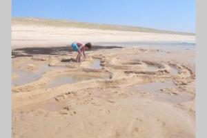 Villas Maison-loft renovee design 4 etoiles luxe - Vaste parc - a 7 min des plages et golfs : photos des chambres