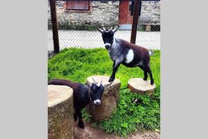 Self Catering - Gardeners Cottage