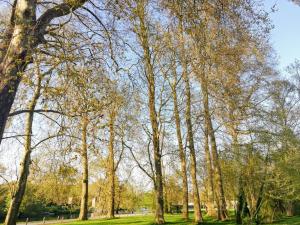 B&B / Chambres d'hotes Le Domaine Des Platanes : photos des chambres