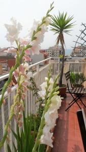 Apartamento Mediterraneo