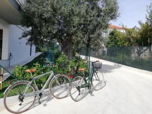 Alba Marina Rooms