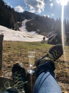 Urige Almhütte Innerkrems