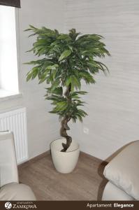 Apartamenty Zamkowa