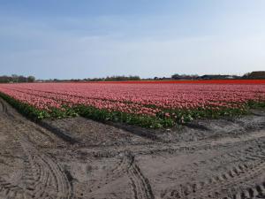 Groot familiehuis voor 6 personen in landelijke, rustige omgeving