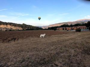 Domaine De Malcor Adult et enfants à partir de 12 ans - nous contacter