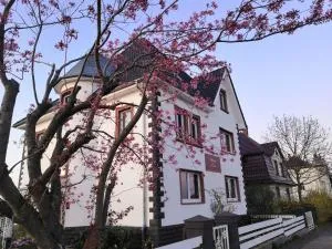 Villa Kopp-Das Gästehaus - فالدورن