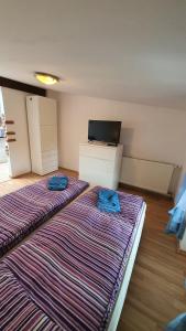 Apartamenty Hetmańska 14