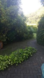 Forwords River Lodge