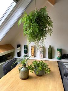 Apartment In de Wolken