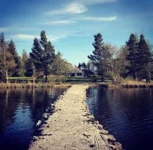 Amber Carron - 康镇