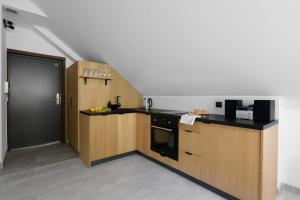 King Studio with Sofa Bed room in Aparthotel Narciarska 2