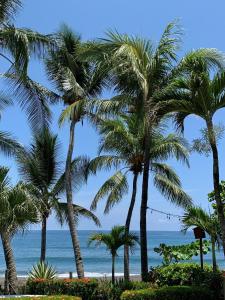 The Backyard Beachfront Hotel