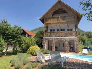 ALPHA - 鲍道乔尼特尔代米茨