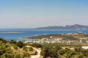 PAROS VILLA BLUE SENSES Paros Greece