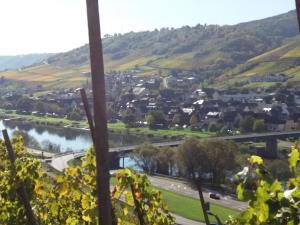 Weingut Matthias Dauns