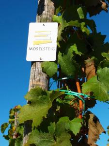 Weingut Matthias Dauns