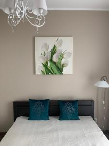 Lawendowy Apartament 2