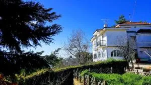 Bio Land Athens - Kapandrítion