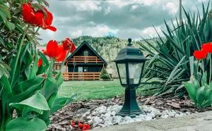 Eko Domek w górach - Przyborów