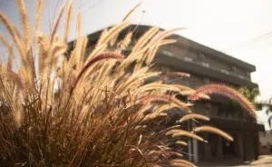 RondPoint Pilar - Moreno