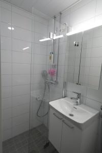 Cozy Apartment near Turku Cathedral Church