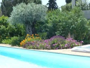 Gîte Les Lauriers Roses - 马瑟伊兰