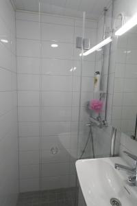 Cozy Apartment near Turku Cathedral Church