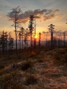 Apartament 6 osobowy, Wisła