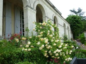 B&B / Chambres d'hotes Manoir de Boisairault : photos des chambres