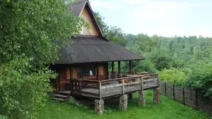 Domki nad Soliną - Tworylne