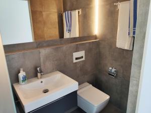 Modern ausgebauter Überseecontainer als Tiny House