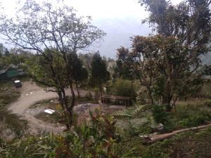 Tragopan Homestay
