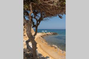 Ktima Sfakia Kos Greece