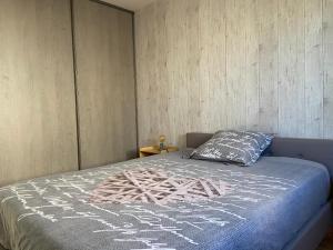 B&B / Chambres d'hotes Maison entiere 4 lits 8 pl avec jacuzzi proche du safari de Peaugres : photos des chambres