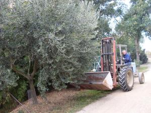 Agriturismo La Marletta