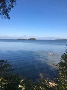 Marina Niedźwiedzi Róg