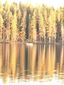 Vimmerby Lilla utsikten