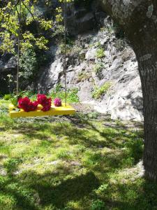 Villa in Sintra - Casa da Penha Ferrim